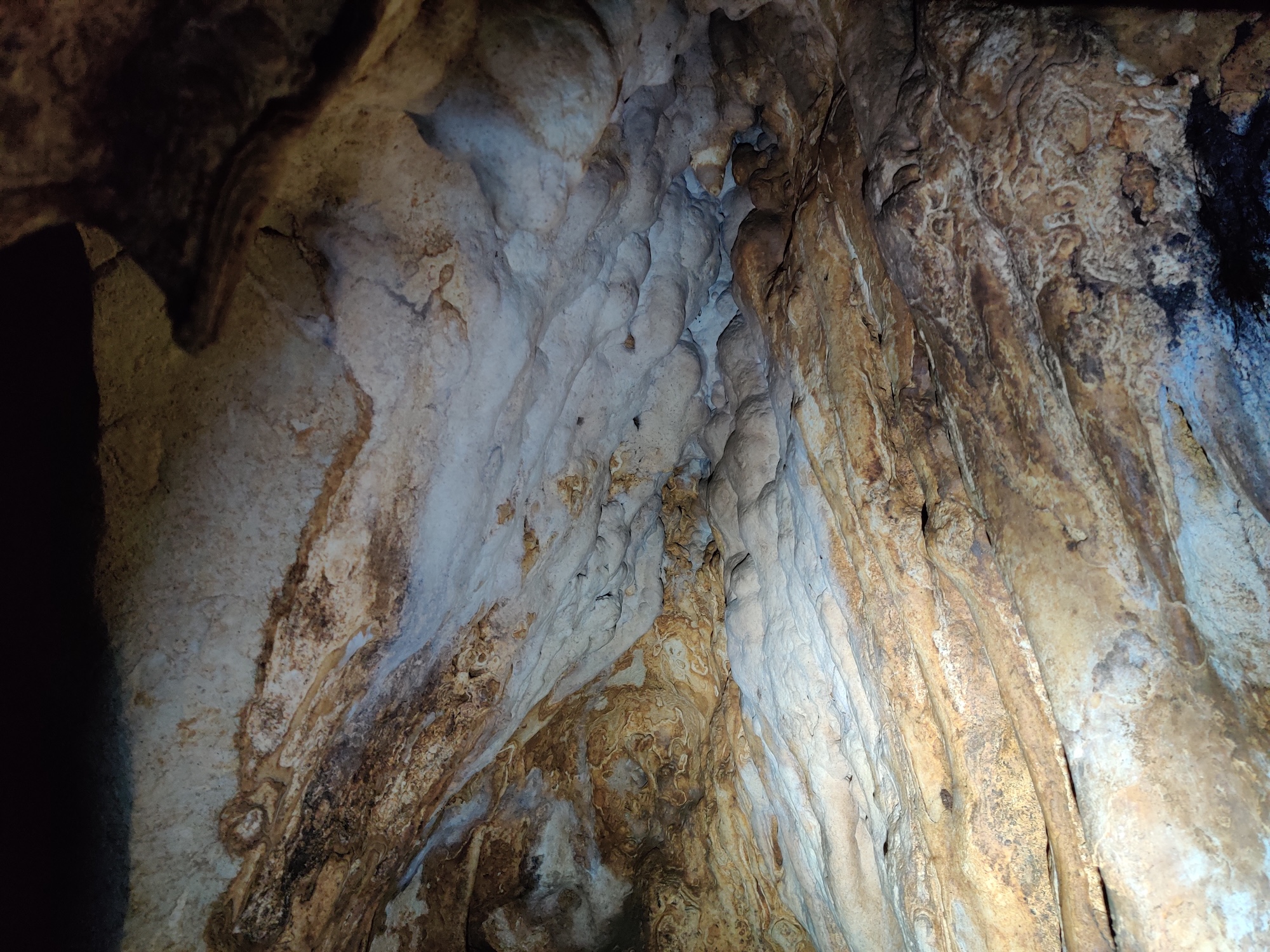 Peștera Sanela - Image 8